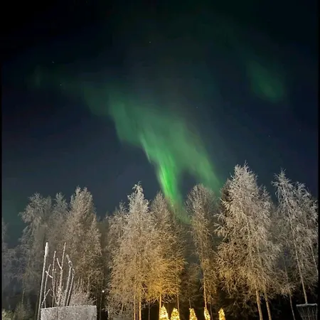 Lejlighed Eco-friendly With Hot Tub & Panorama View Oulu